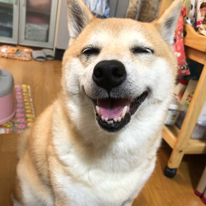 E136912f f7db 41df 901c ea117b10c616 1565920233056