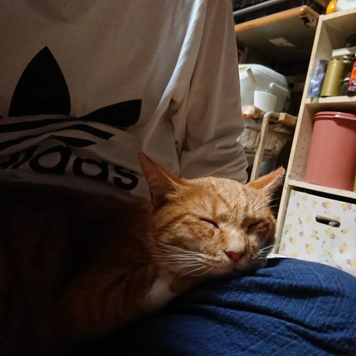 E136ba2b 0f4b 4ce3 a968 5fe711388829 1600374951995