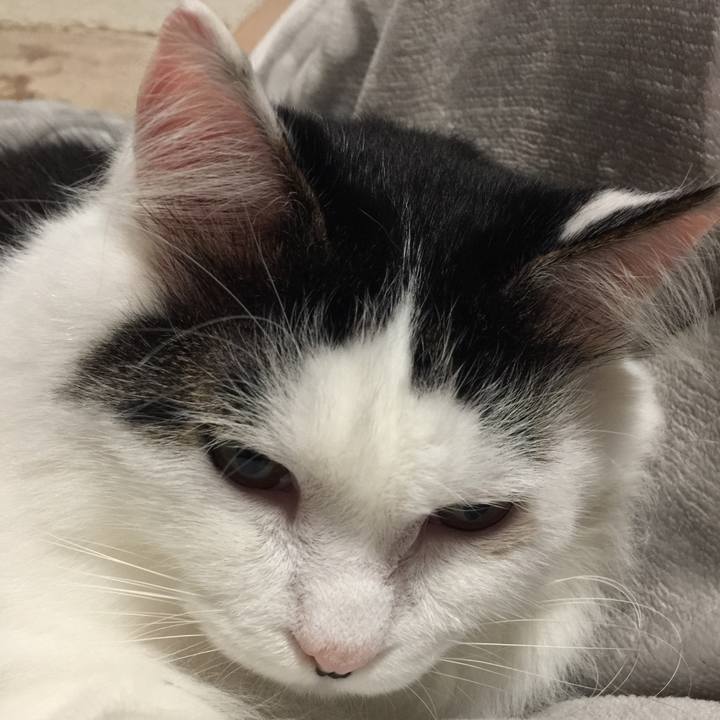 E1370924 9a64 4fa8 b2a0 a103ac52bfa9 1509774256768