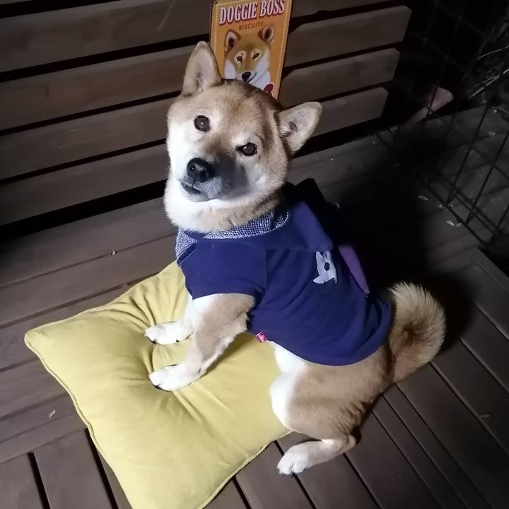 E1371c05 c21e 4562 951d 4d577f35223f 1645528627691