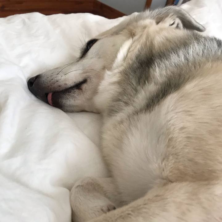 E137418e 0fc2 406c 8631 f8402ba54bff 1585103782327