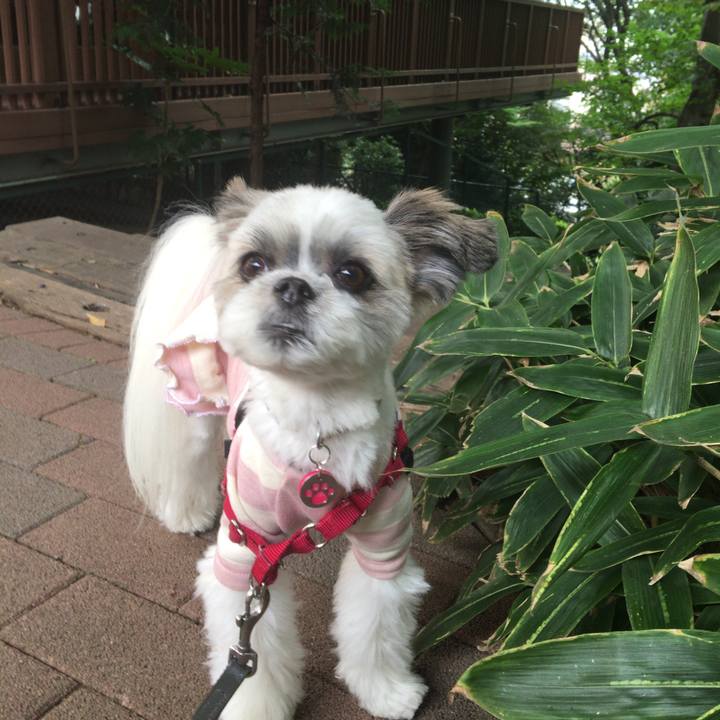 E1374ffb 96df 4ed5 ab4b f3923218901a 1508484416969