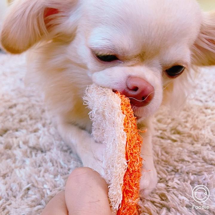 E137514c 0199 4b29 91af b2f317b99964 1626831980123