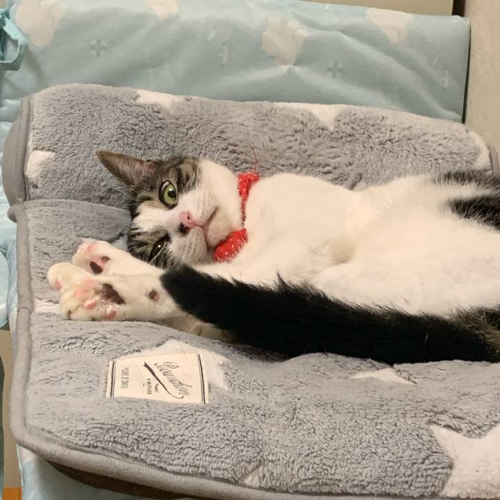 E137829b ab27 4f65 9904 1f18210e7365 1593666432430