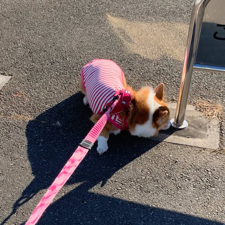 E13796bf 96ac 40fc 8817 e3d2ddaca073 1608613991222