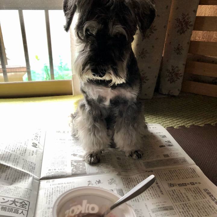 E13796c9 16fa 4610 bd85 6f88bede76f0 1688874990252