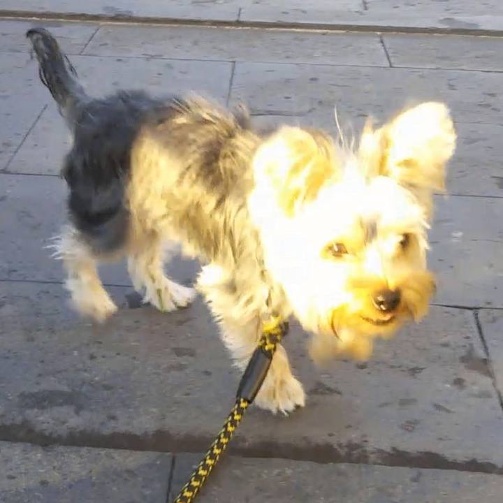 E1379fe7 f5be 4af0 9686 37bf17ce8ec8 1540723009515