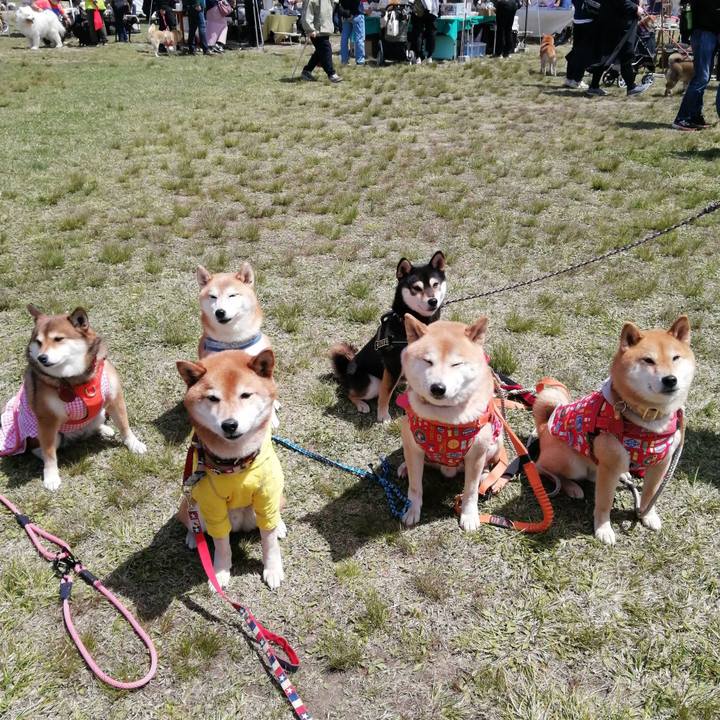 E137bb8c e390 421a a98a 18dc54dfe5b5 1682508365715