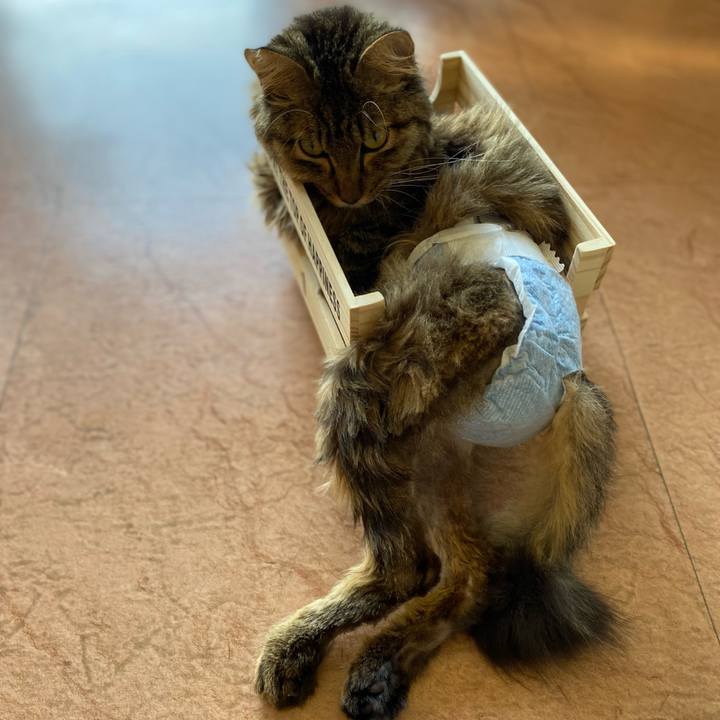 E137c1e5 9185 4968 bc4c 678a8bea6e5c 1659515110019