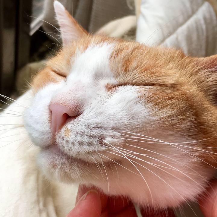 E137ff84 8e97 41ee a17c 4aabf6ba8b68 1565258289060