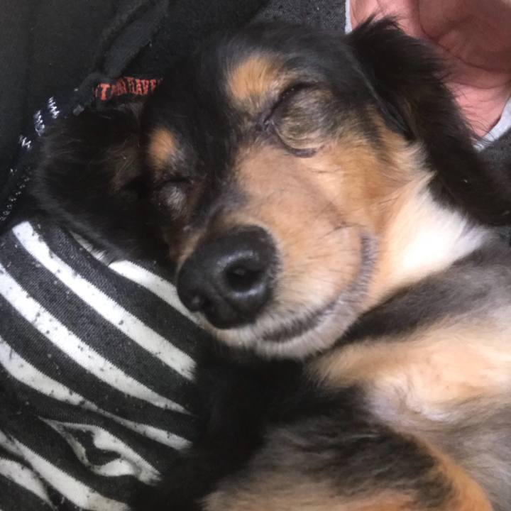 E1380b59 4bd4 47b7 8cd8 bfd8d308636b 1519163440100