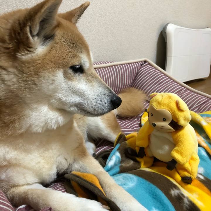 E13822fa 6ffa 40a3 a33f cd6f90e345aa 1585534943272