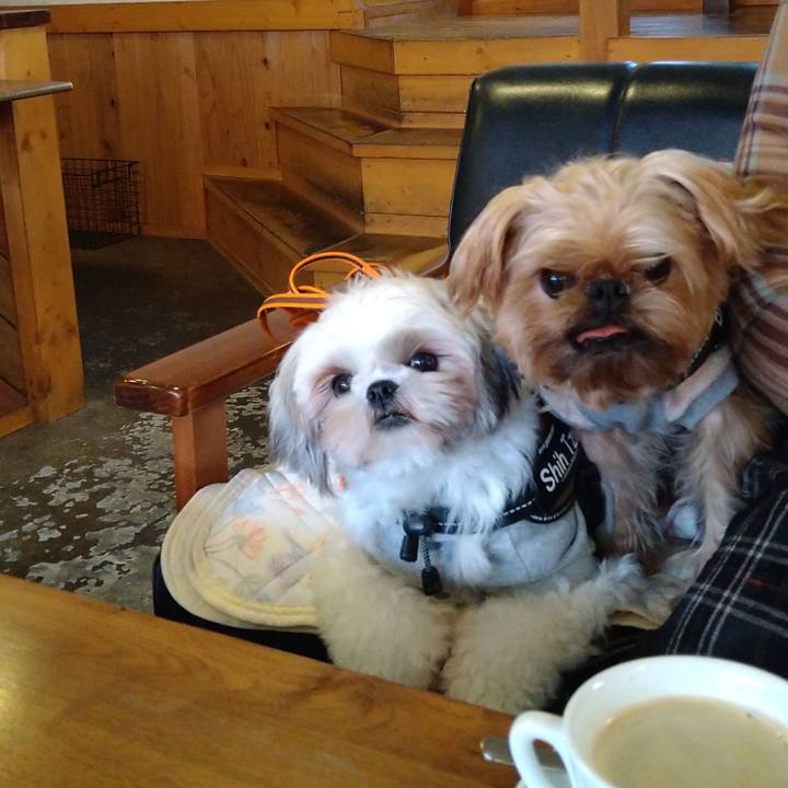 E1384174 232a 4b88 a3d3 c1bd01bc4876 1610427907113