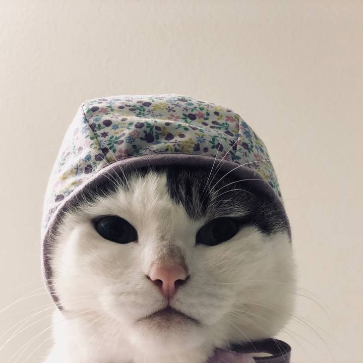 E1384ad4 ffbe 4598 a75f 1f7f3820fb1b 1552571507398