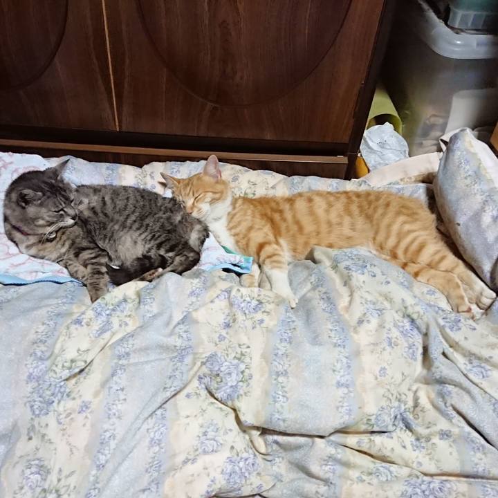 E1384dbf 2220 47ae 8817 2ccf60cd6012 1590410977471