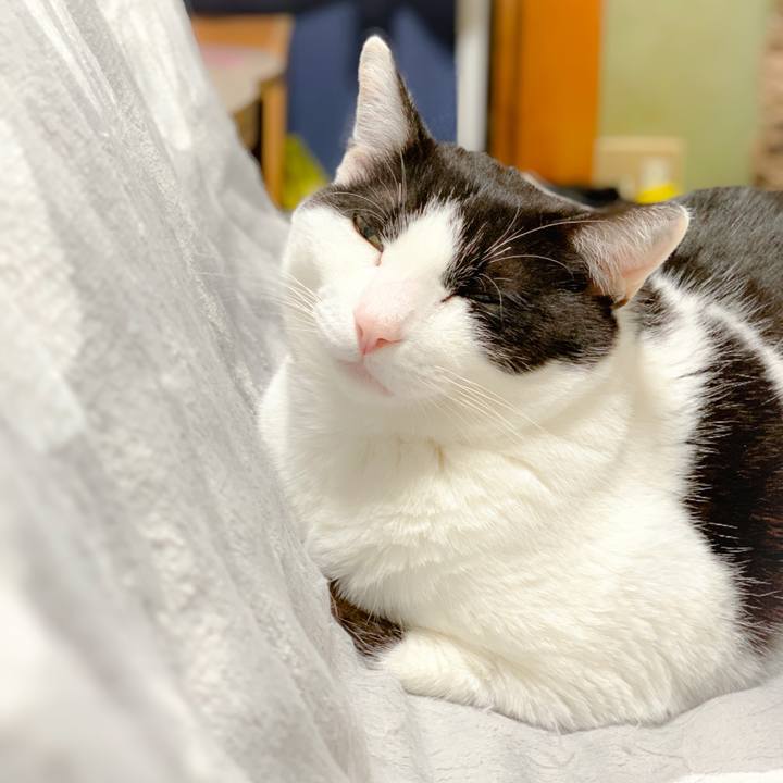 E1388047 6d22 4258 9288 0333f73a4153 1559008383953