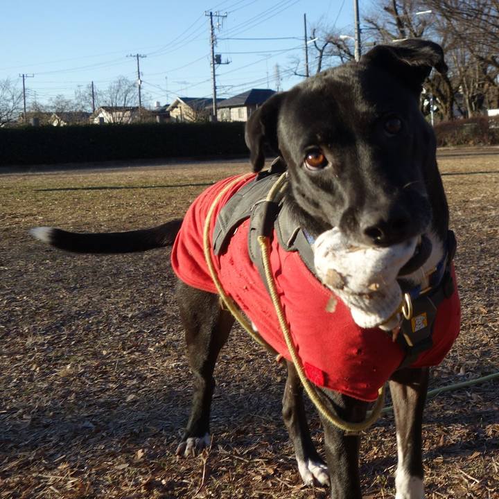 E13889fa ce4d 4466 9305 fb456cf3a563 1642468073766