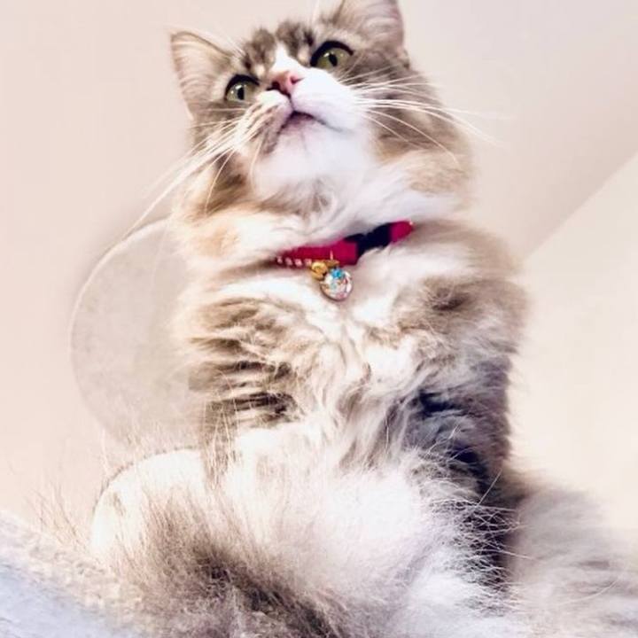 E1389e41 a5be 4594 840a c1f15e5bd3c9 1756048560073