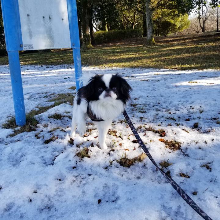 E138a986 9b19 4aad a6a7 3ccaa5b4b324 1644564438739