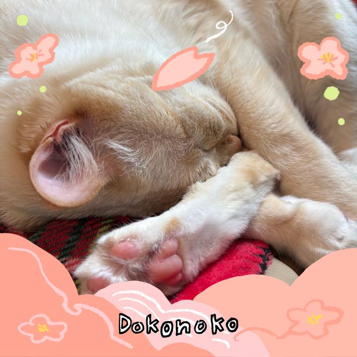 E138b242 5790 414a a332 fac701c26ee9 1775425189992