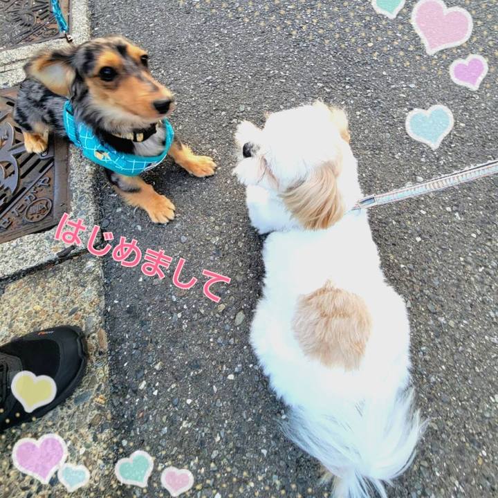 E138bf76 8686 4d41 bd8d b6419b290335 1727179620684