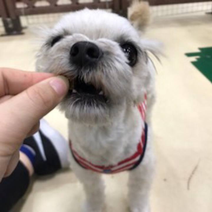 E138e997 dfca 4eea a7a5 a5e6cd9dc04d 1520595381164