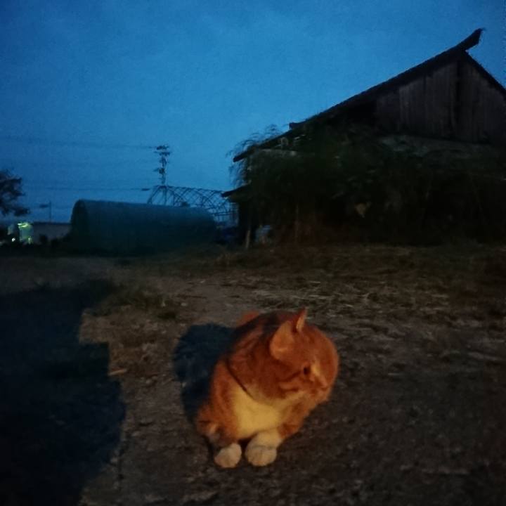 E13969bf 0d0f 4226 9607 3df961feeacc 1600765725177