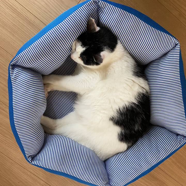 E1397972 9a65 460c a6b6 d39dca370c91 1590205732535