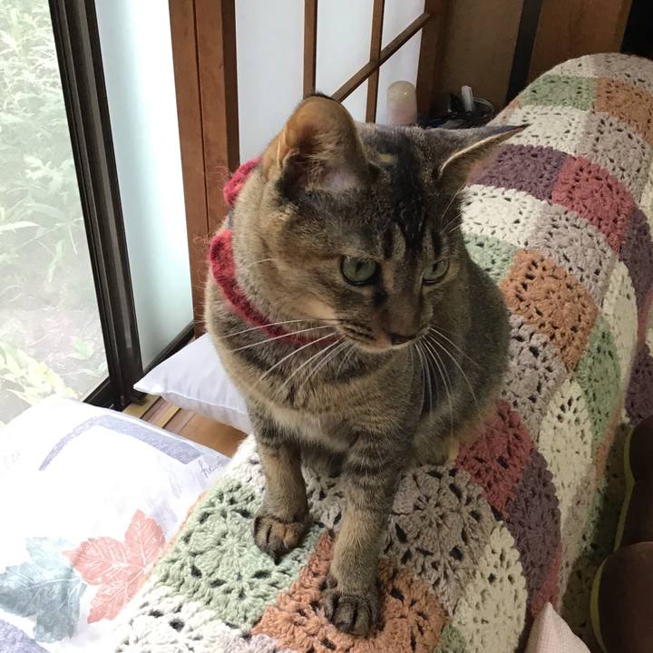 E13990c5 9cdf 4ee5 a92c 9c5d5ab49e21 1600915839991