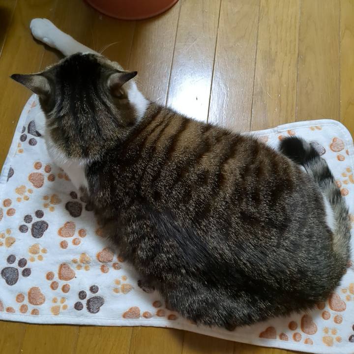 E13991b5 b77a 46bc 8830 e0c9b5149868 1676241884064