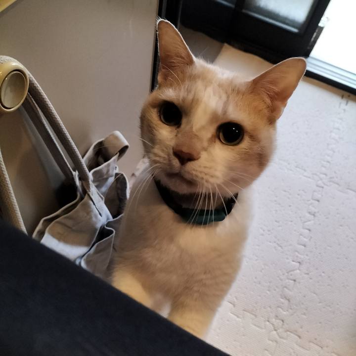 E1399729 06a4 4298 85a1 c8f0cfebe011 1641167343646