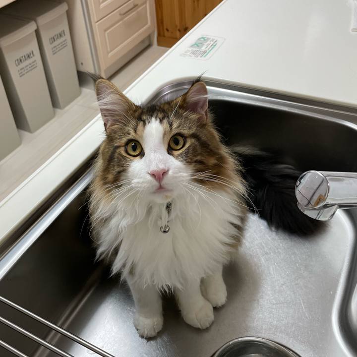 E139c210 6233 4ab9 8fd0 e8405d12b1a1 1647118132633