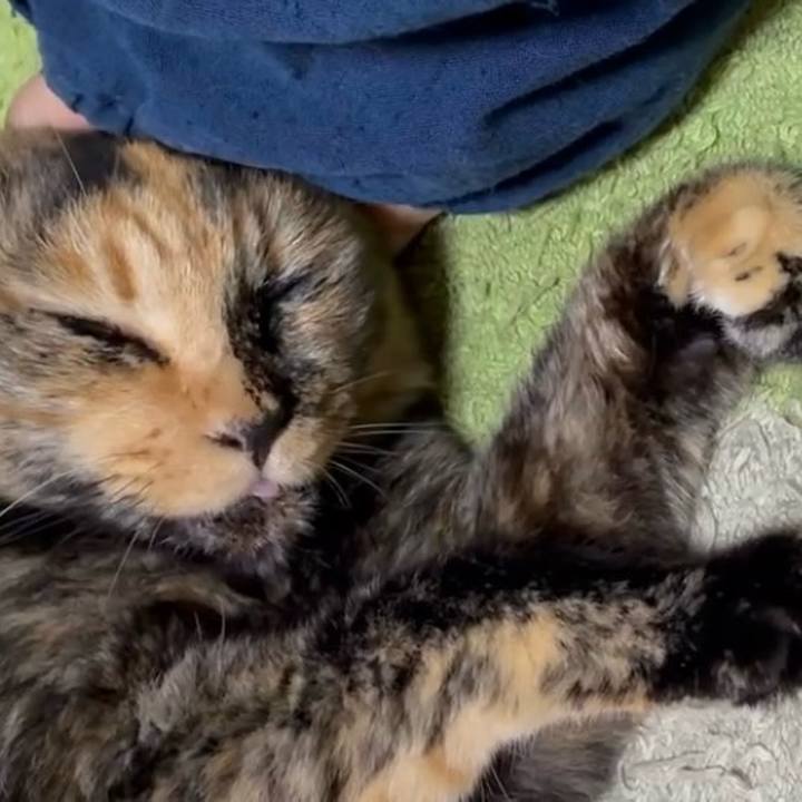 E139d7c8 0674 482d 9533 ec0fac4040d5 1752610398270