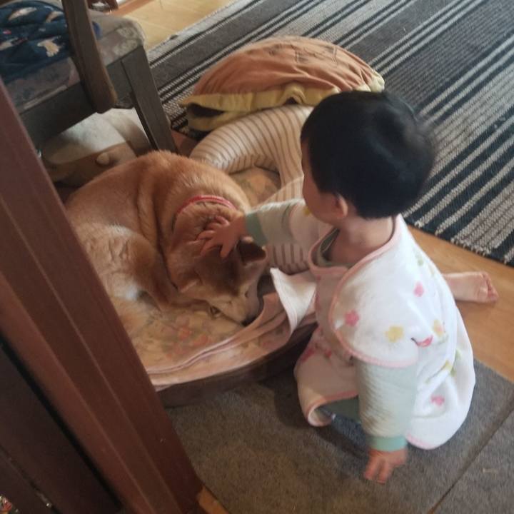 E13a000d b7b0 4f00 9a3b fa8c3eaa164d 1736121109855