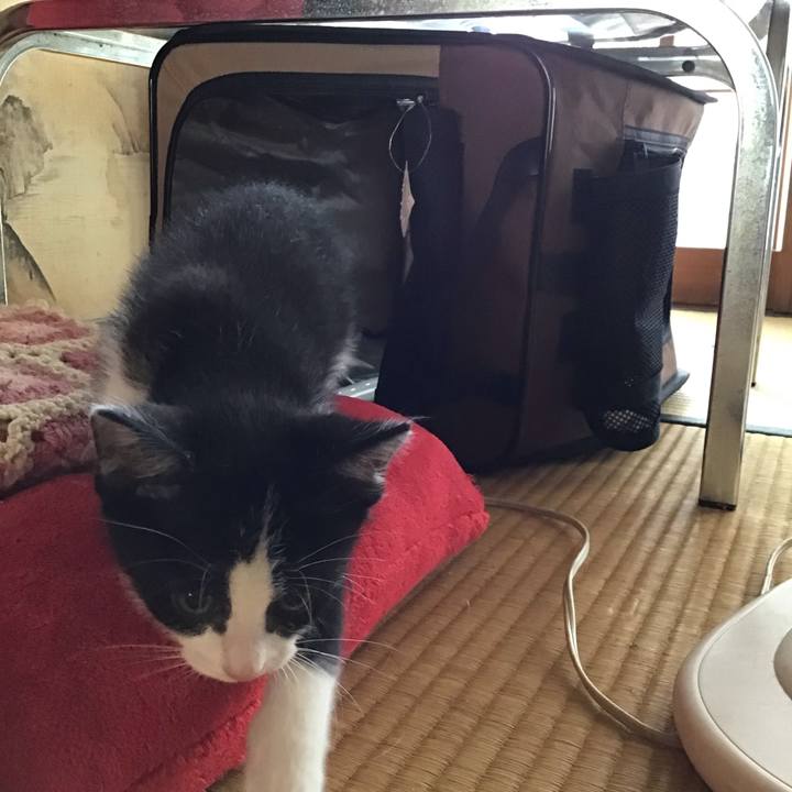 E13a2847 def8 4bc5 8026 145311fd8f0c 1623817138377