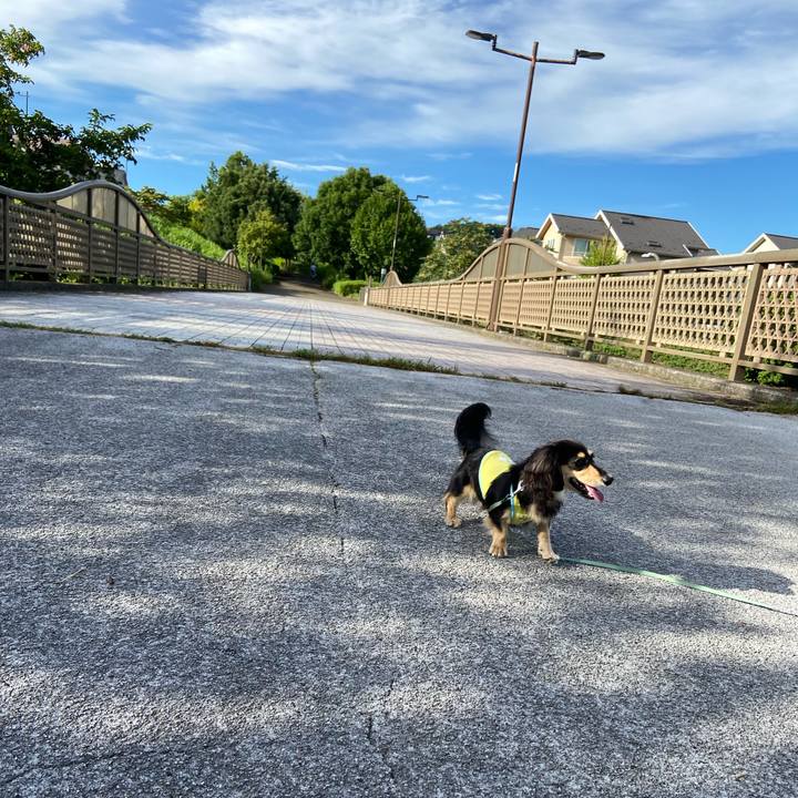 E13a592d 8538 43c1 85aa 3ade0de9f9f5 1690927422961