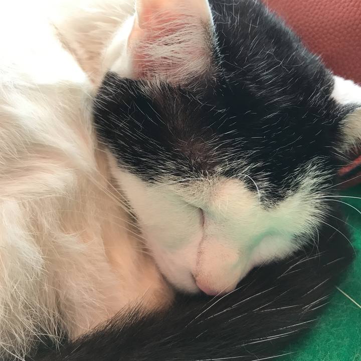 E13a8506 e03a 4307 a662 fa07be6bb992 1526606067879