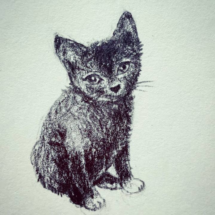 E13a8583 1d17 42f6 a133 c27b194334e7 1678431188078