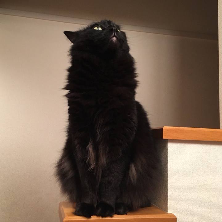 E13aef04 d8e7 40c6 ba86 0518c8e326ca 1515494525122