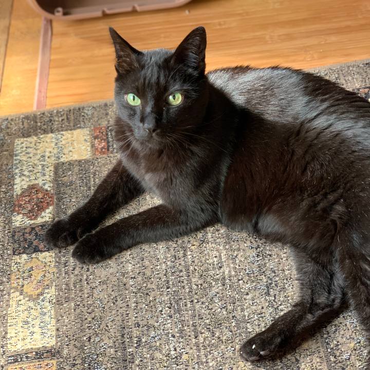 E13b35f8 652f 40d1 a845 9aab48a371d6 1590109423039