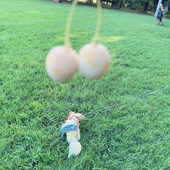 E13b45f7 2ac8 4d43 acf4 ebd2be142341 1695039056714