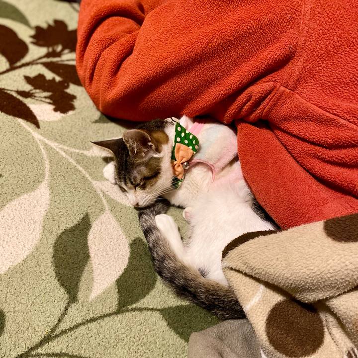 E13b9ba7 e994 4456 874c 324480d5f59f 1708180703843