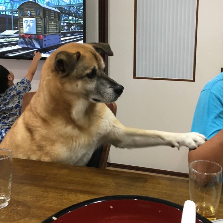 E13bb861 7005 49c0 b87e 36626c6177cb 1535256493171