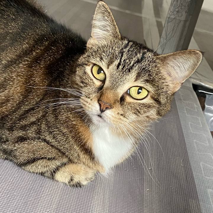 E13bc3a8 a108 4f07 b7c0 b6790821e9bf 1630900389853