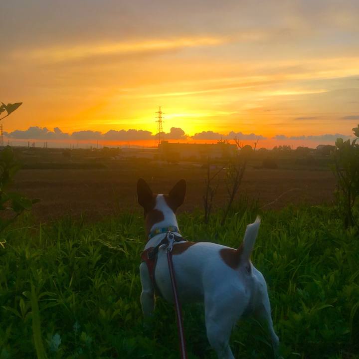 E13c3d53 600a 40ad abf9 f322c67272f7 1528372629175