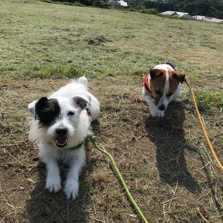 E13c67bc f099 4af1 b292 c49e7ea4df0c 1526430409975