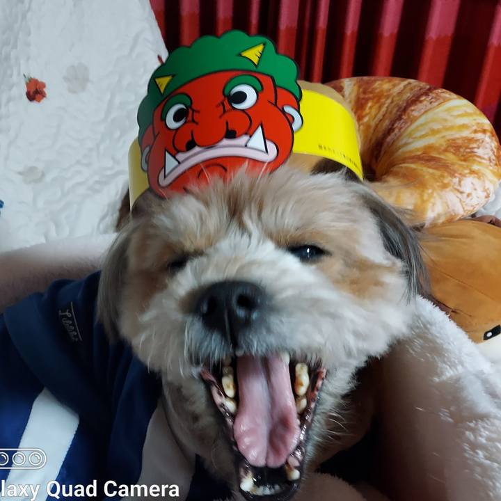 E13c6ad9 209c 433b ac14 3b489442bc6d 1675424094266