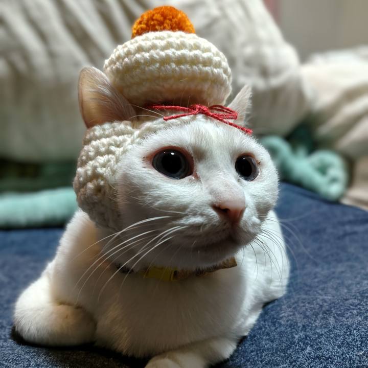 E13c7cbe e7c6 49c5 857b a0cabd251d10 1767229068291