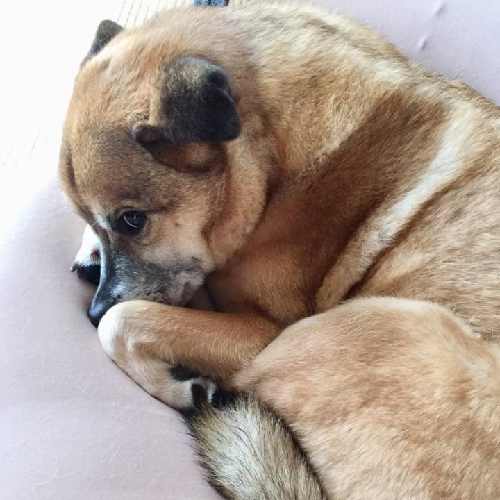 E13c837f b9be 4364 8ddd 7889815eb5e8 1551873208288