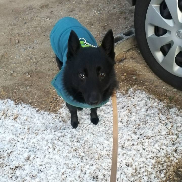 E13c90f7 973e 4e11 bdd8 fd9d1a8b278e 1642715546866